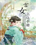 宫女上位手册 容光晋江