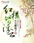 红楼皆浮云小说全文免费阅读