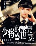 少将的盛世宠妻小说