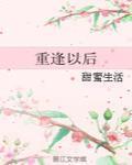 重逢以后by
