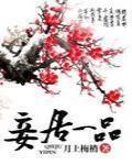 妾居一品讲什么