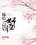 嫁给奸臣冲喜后