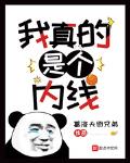 我真的是个内线
