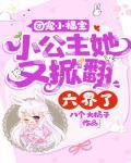 团宠小福宝小公主她又掀翻六界了