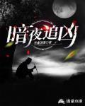 暗夜追凶