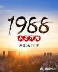 1994从芯开始