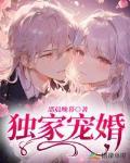 独家宠婚高冷老公呆萌妻全文免费