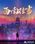 西南往事:三十年风云