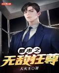 都市无敌狂尊 必火