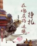 在炮灰的边缘反复横跳 百度网盘
