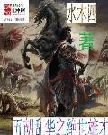 五胡乱华小说