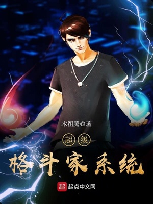 格斗家系统小说