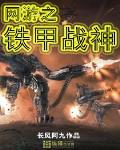 网游之铁血战旗