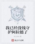 我已经没钱守护阿拉德了 小说
