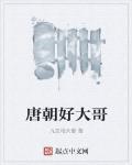唐朝好大哥