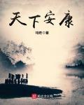 天下安康小说