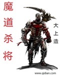 魔道将军小说