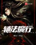 辅法王座