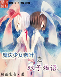 魔法少女奈叶之双子物语下载