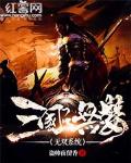 三国之无双系统