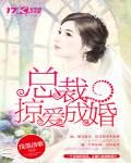 总裁掠爱成婚免费下载