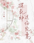 探花郎过份宠妻