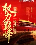 问鼎：从一等功臣到权力巅峰