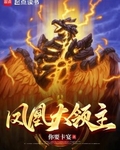 凤凰大领主txt