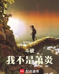 斗破：我不是萧炎