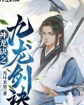 九龙神剑是什么电视剧