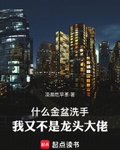什么金盆洗手，我又不是龙头大佬