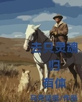 灵魂有所归一什么意思