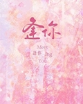 逢你[破镜重圆]