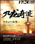 九龙奇迹百度百科