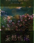 妄想情深