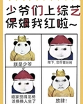 保姆和少爷的电视剧