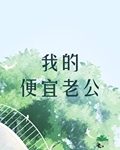 我的便宜老公txt免费阅读