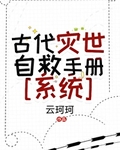 古代灾世经营手册（系统）