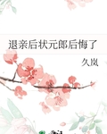 退亲后状元郎后悔了免费阅读