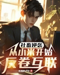 社畜逆袭:从小米开始反卷互联网笔趣阁