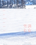 雪满长京txt