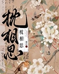 枕相思宋衿禾盛从渊