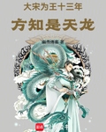 大宋为王十三年