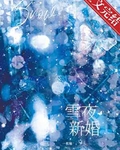 雪夜新婚小说免费阅读全文