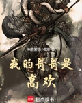 我的哥哥是高欢小说