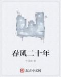 春风二十年短剧