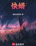 快婿
