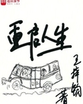 重启人生小说
