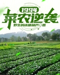 1994菜农逆袭免费阅读