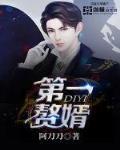 第一赘婿免费完整版
